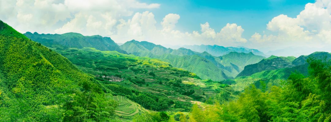 盐城旅游总体规划_盐城旅游业发展_盐城全域旅游