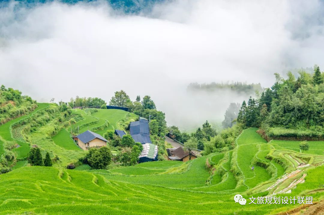 盐城旅游业发展_盐城全域旅游_盐城旅游总体规划