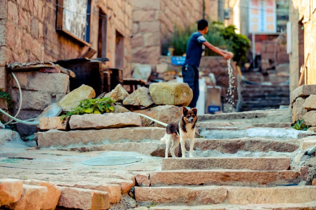 盐城旅游业发展_盐城旅游总体规划_盐城全域旅游