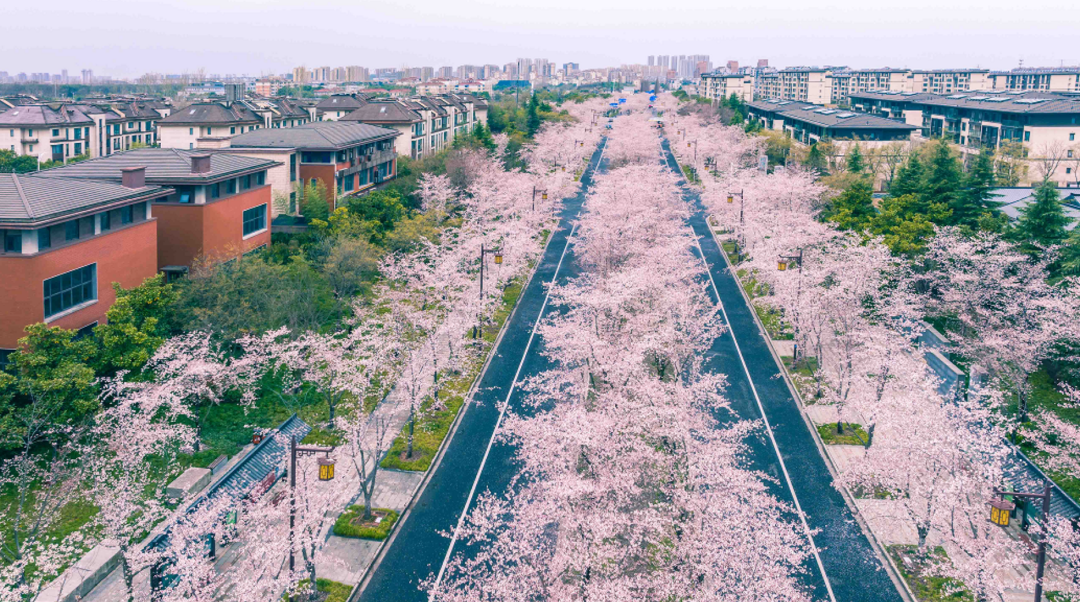 预定盐城酒店旅游的软件_预定盐城酒店旅游多少钱_盐城旅游酒店预定