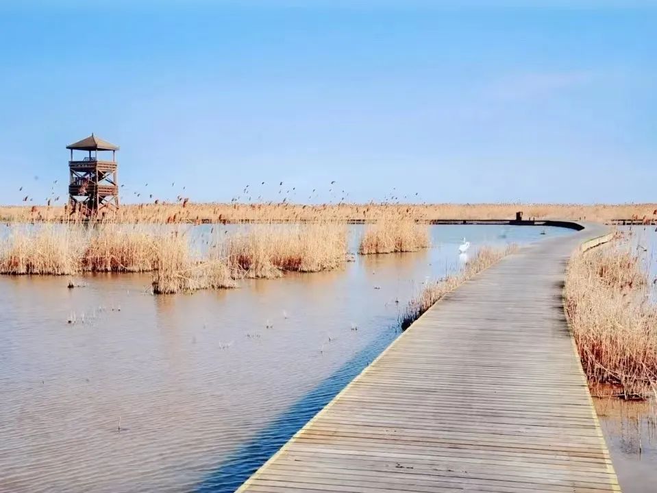 预定盐城酒店旅游多少钱_盐城旅游酒店预定_预定盐城酒店旅游的软件