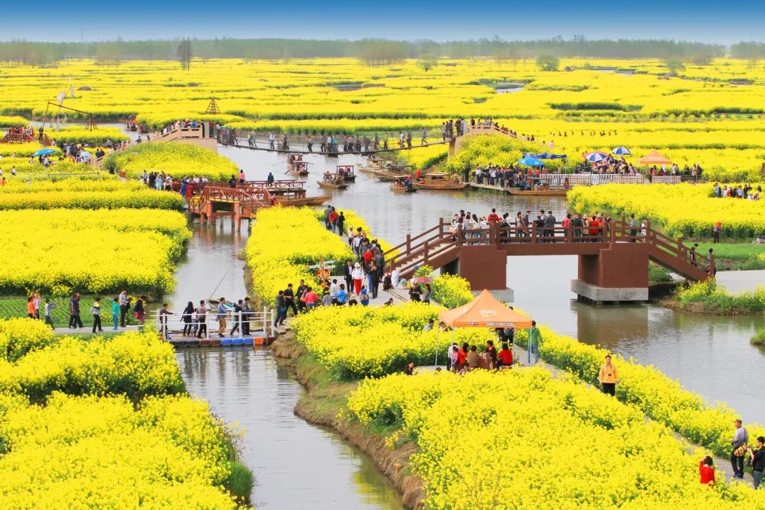 预定盐城酒店旅游的软件_预定盐城酒店旅游多少钱_盐城旅游酒店预定