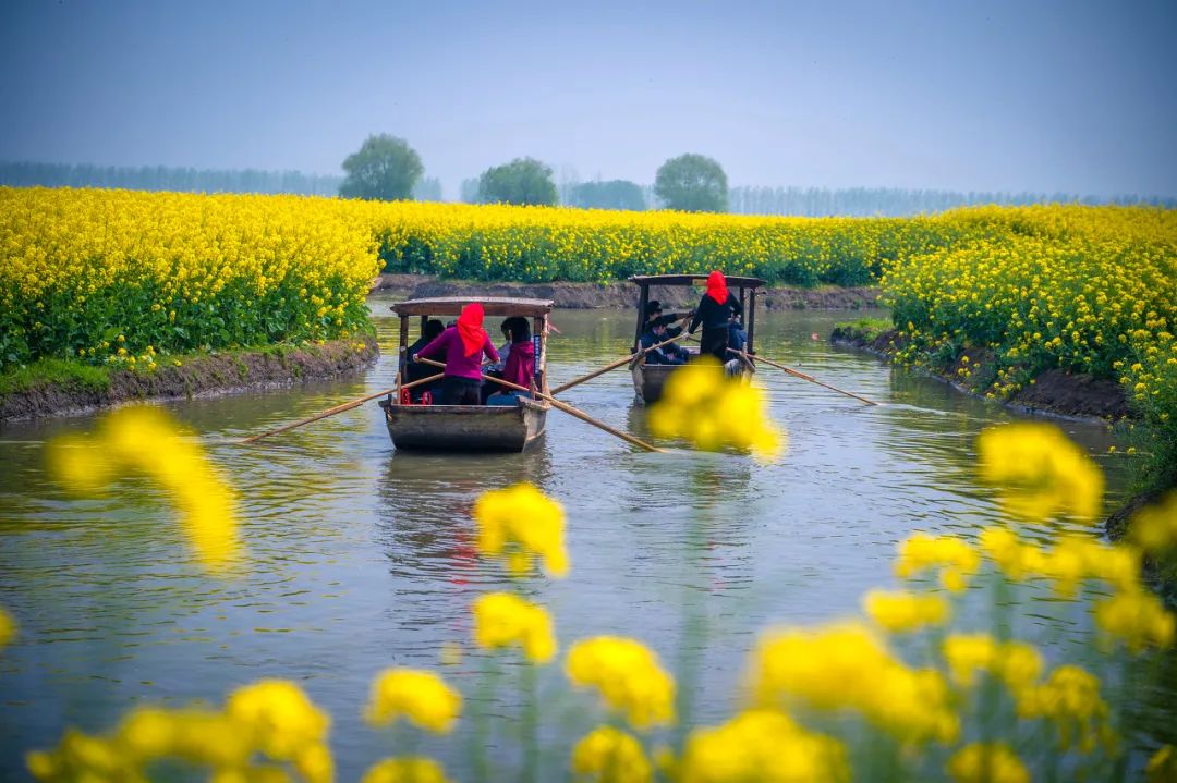 预定盐城酒店旅游的软件_盐城旅游酒店预定_预定盐城酒店旅游多少钱