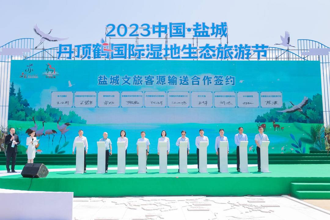 盐城湿地策划_盐城湿地公园有什么好玩的_盐城湿地旅游