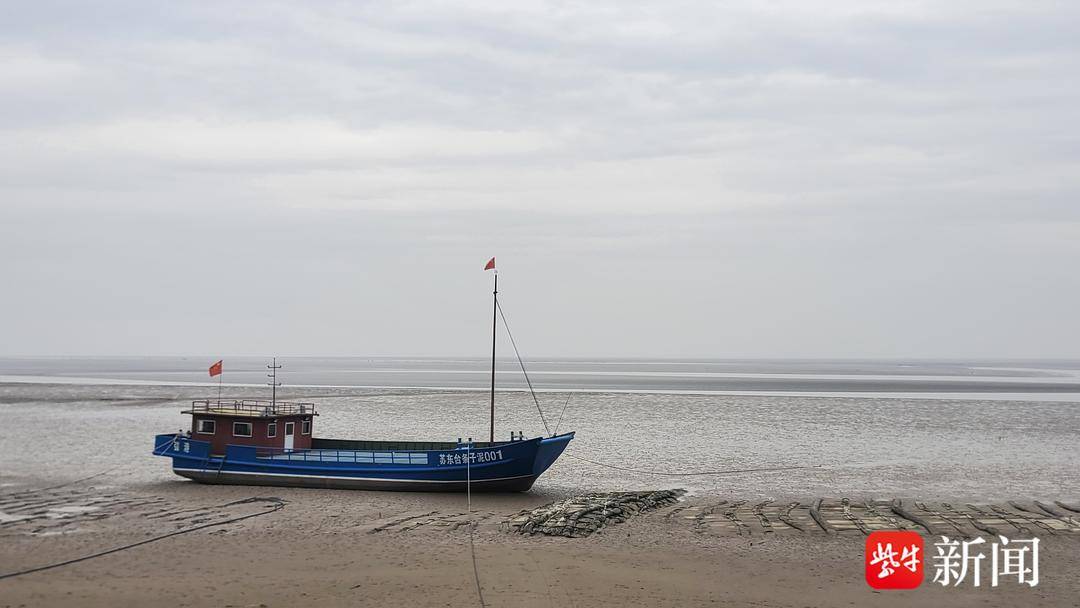 盐城湿地策划_盐城湿地公园旅游攻略_盐城湿地旅游