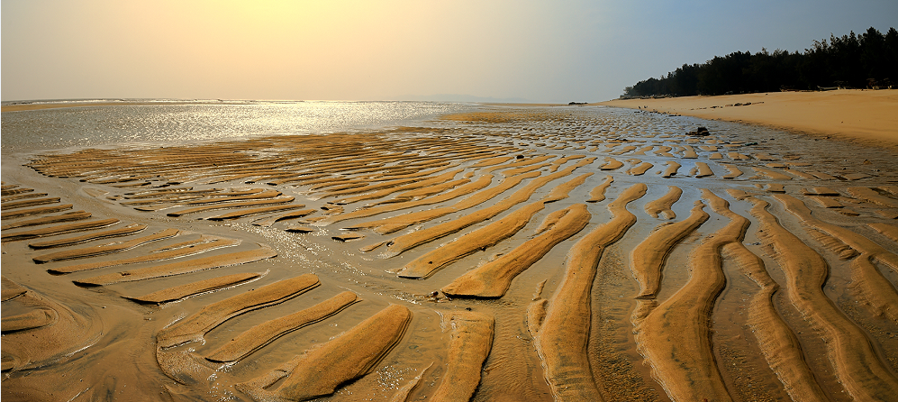 盐城滨海旅游_盐城滨海旅游_盐城旅游滨海县旅游
