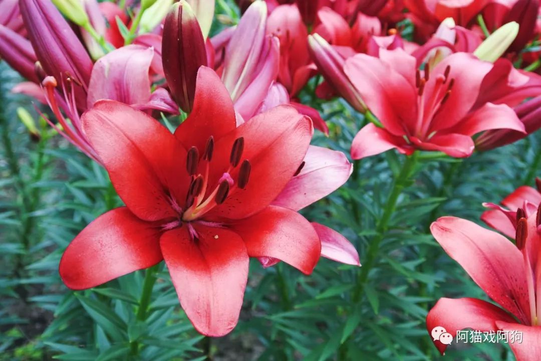 盐城美食攻略_盐城打卡美食_盐城旅游美食