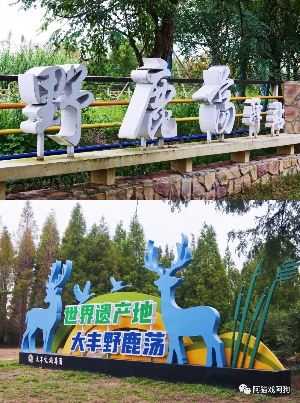 盐城旅游美食_盐城美食攻略_盐城打卡美食