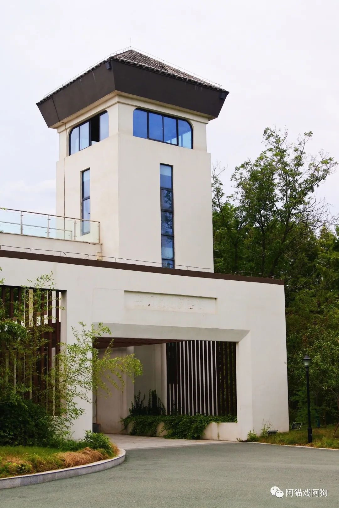 盐城美食攻略_盐城打卡美食_盐城旅游美食