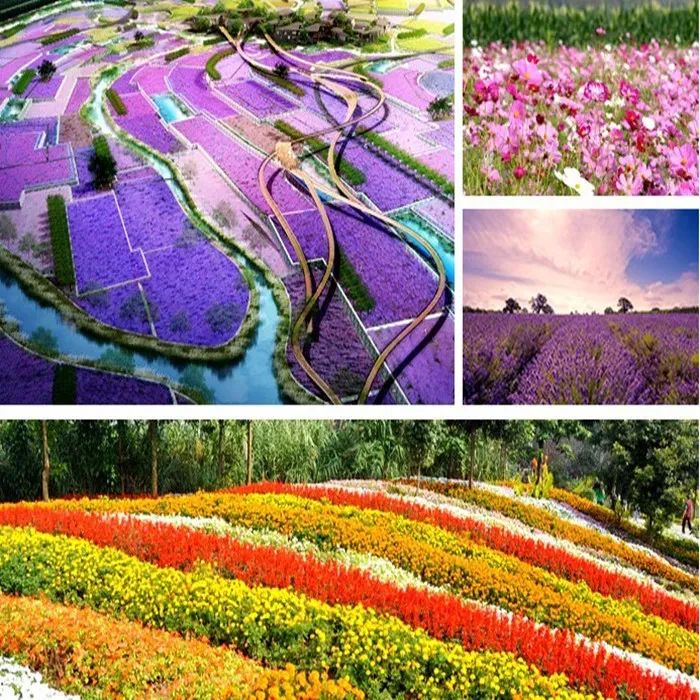 盐城美食团购_盐城美食打卡_盐城美食优惠公众号