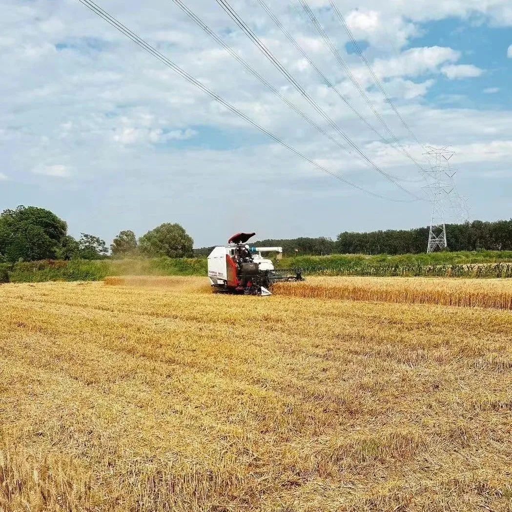 盐城市旅游公路规划_盐城旅游总体规划_盐城全域旅游