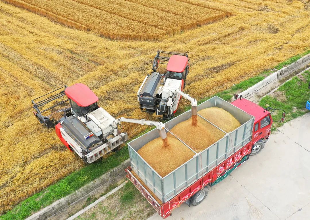 盐城市旅游公路规划_盐城全域旅游_盐城旅游总体规划